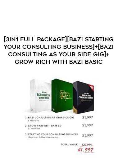 [3in1 Full package][Bazi STARTING YOUR CONSULTING BUSINESS]+[Bazi Consulting As Your Side Gig]+Grow Rich with Bazi Basic digital download
