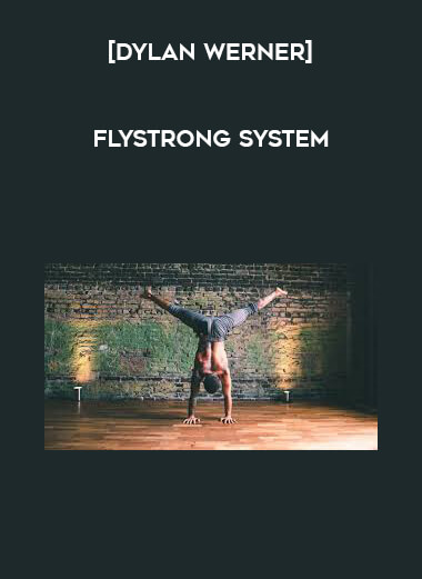 [Dylan Werner] FlyStrong System digital download