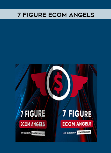 7 Figure Ecom Angels digital download