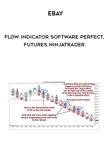 Ebay - Flow Indicator Software Perfect for Futures Ninjatrader digital download