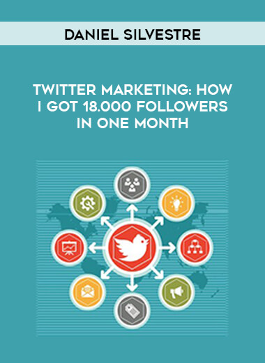 Daniel Silvestre - Twitter Marketing-How I Got 18.000 Followers in One Month digital download